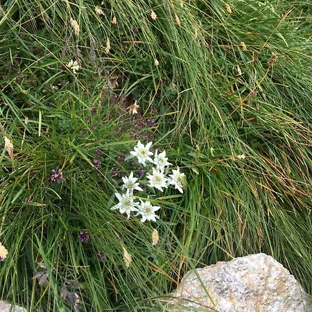 Stoffelehof Großkirchheim