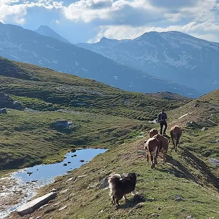 Stoffelehof Lägenhet