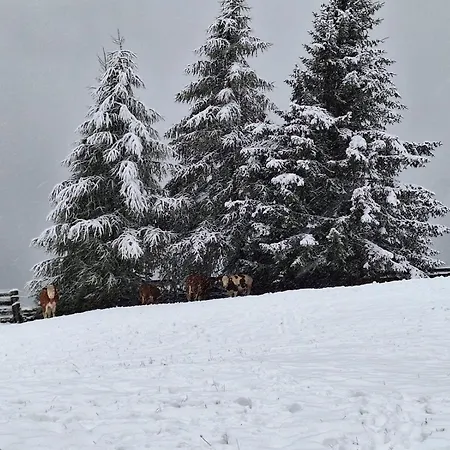 Διαμέρισμα Stoffelehof