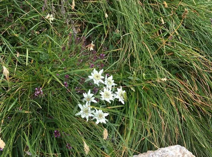 Stoffelehof Großkirchheim