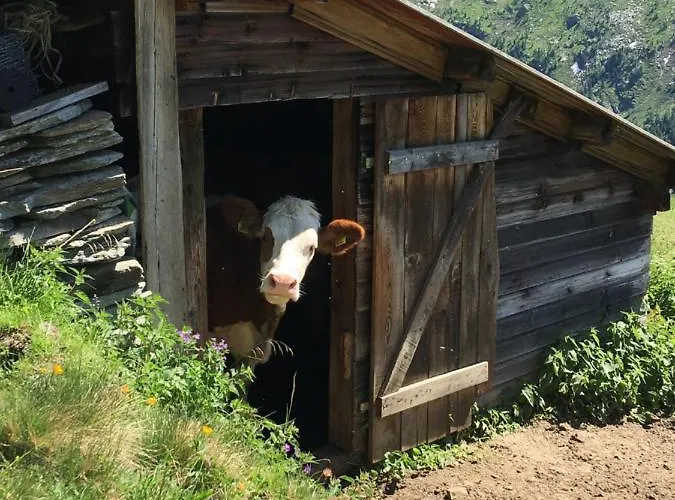 Apartament Stoffelehof