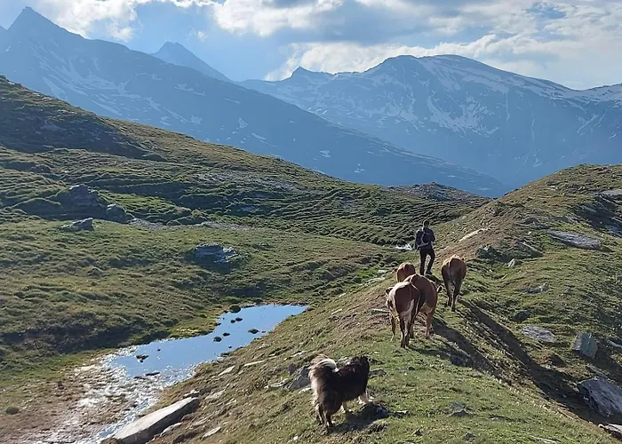 Stoffelehof Apartament