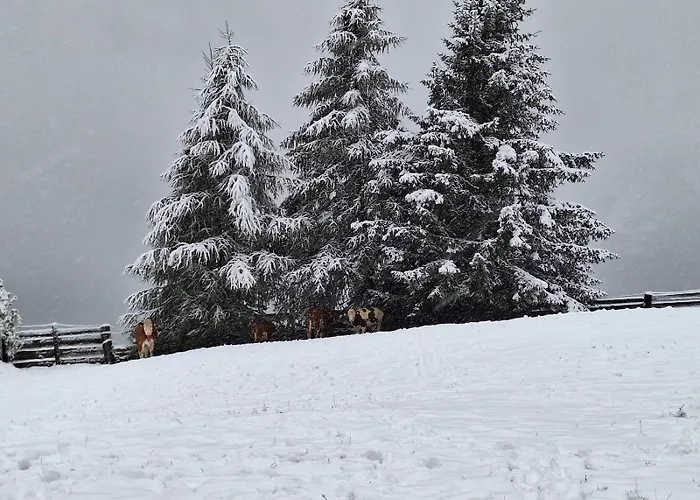 Apartament Stoffelehof